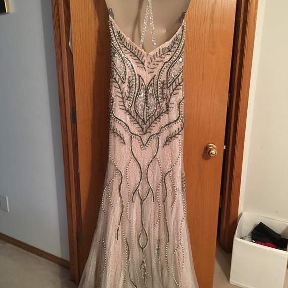 Terani Evening Gown - Picture 4 of 6